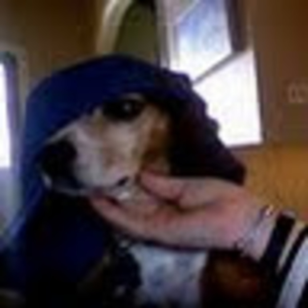 Meet your Posher, Delaney